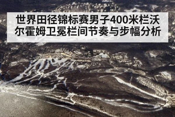 世界田径锦标赛男子400米栏沃尔霍姆卫冕栏间节奏与步幅分析