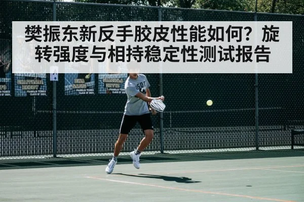 樊振东新反手胶皮性能如何?旋转强度与相持稳定性测试报告