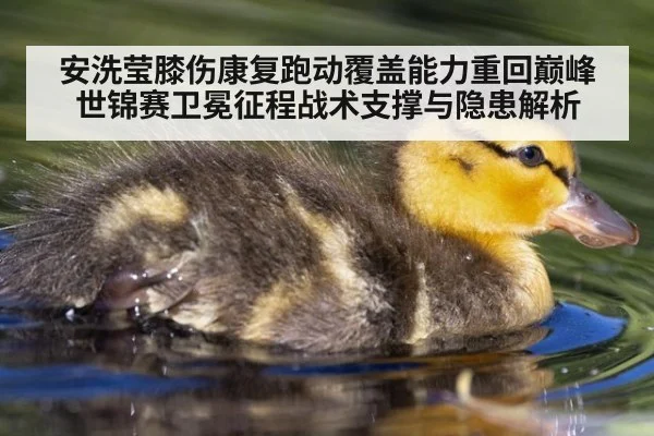 安洗莹膝伤康复跑动覆盖能力重回巅峰 世锦赛卫冕征程战术支撑与隐患解析